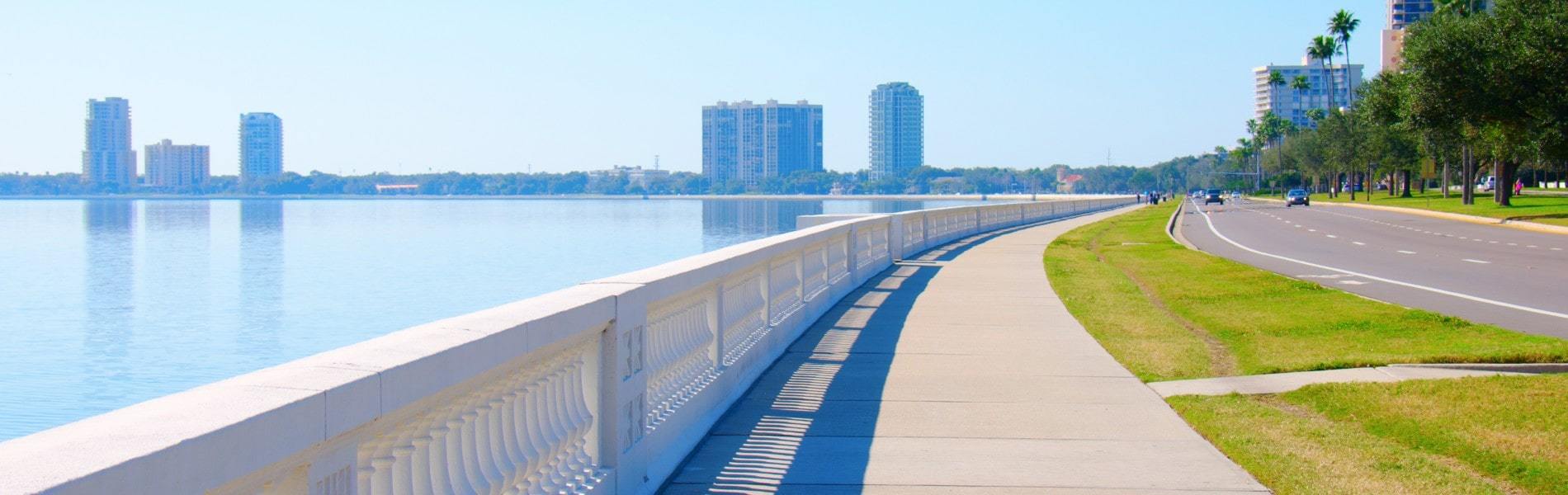 View from Bayshore Boulevard, near Bayshore homes for sale